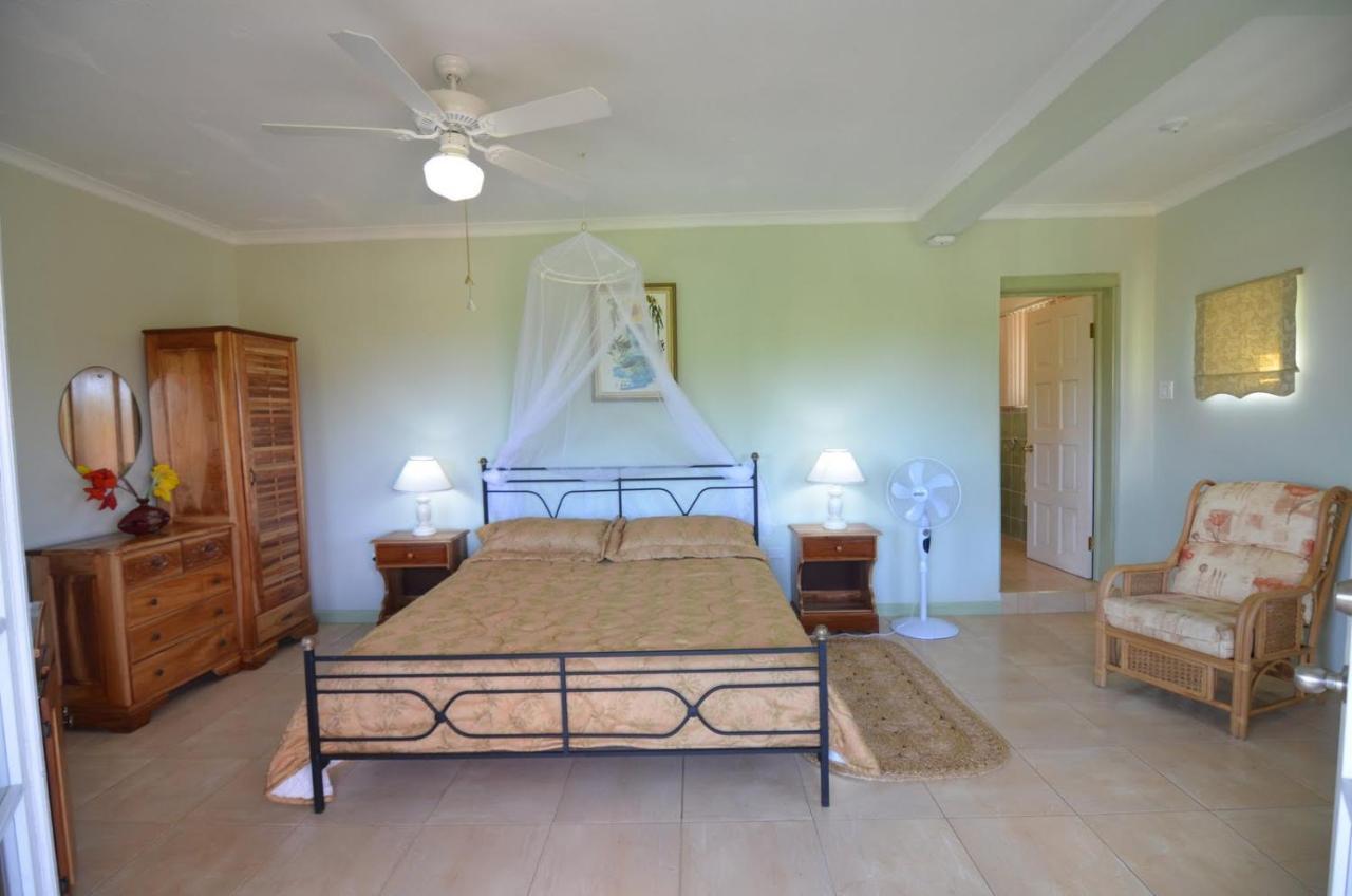 Pimento Lodge Resort Port Antonio Exteriér fotografie