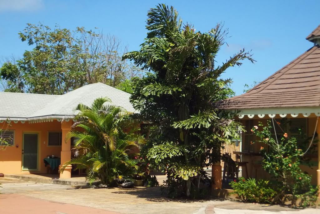 Pimento Lodge Resort Port Antonio Exteriér fotografie