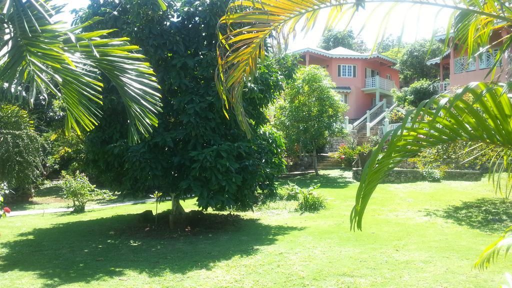 Pimento Lodge Resort Port Antonio Exteriér fotografie