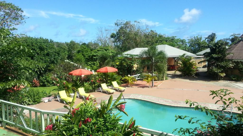 Pimento Lodge Resort Port Antonio Exteriér fotografie